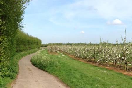 Church Farm B&B Suffolk Great Whelnetham 외부 사진