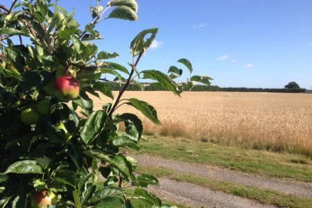 Church Farm B&B Suffolk Great Whelnetham 외부 사진